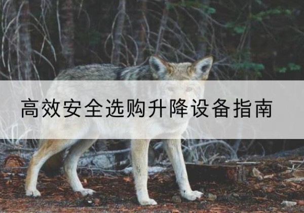 西峰升降货梯厂家推荐-*安全选购升降设备指南