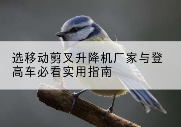 西峰电动升降机厂家-选移动剪叉升降机厂家与登高车必看实用指南